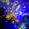 #A Solar Watering Can Lights Iron Hollow Art Decorative Outdoor Garden Hanging