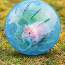 Pet Mini Jogging Ball Hamster Exercise Plastic Clear Trot Ball Toys (Blue)