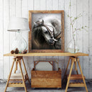 Cross Stitch Kits 11CT Stamped DIY Horse Full Embroider Needlework
