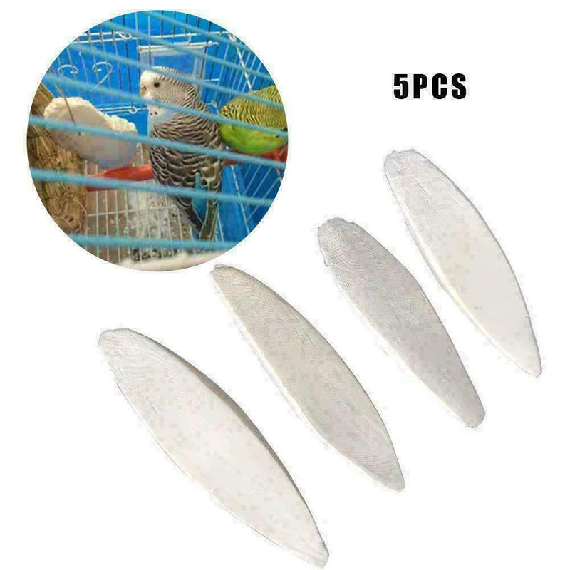 5Pcs/Set Cuttlefish Bone Cuttle Fish Bird Food Calcium HOT R9Y2 F Reptiles C6S1