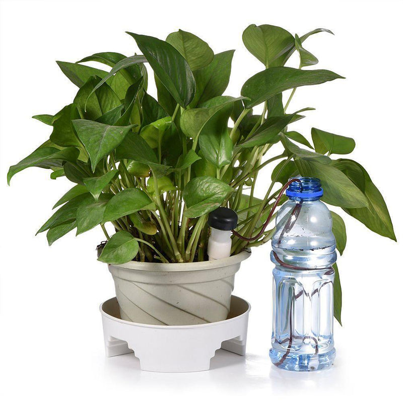 8 x Self-Watering Probes Indoor Automatic Plant Watering Device
