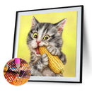 Cute Cat Animal Diamond Drawing Full Round Drill Rhinestone Mosaic (A2520) Newly