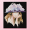 14CT Full Cross Stitch Purple Hat Lady Stamped DIY Embroidery Kits Crafts