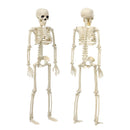 Decoration Outdoor Hanging Poseable Size Human Skeleton Halloween Scary Props