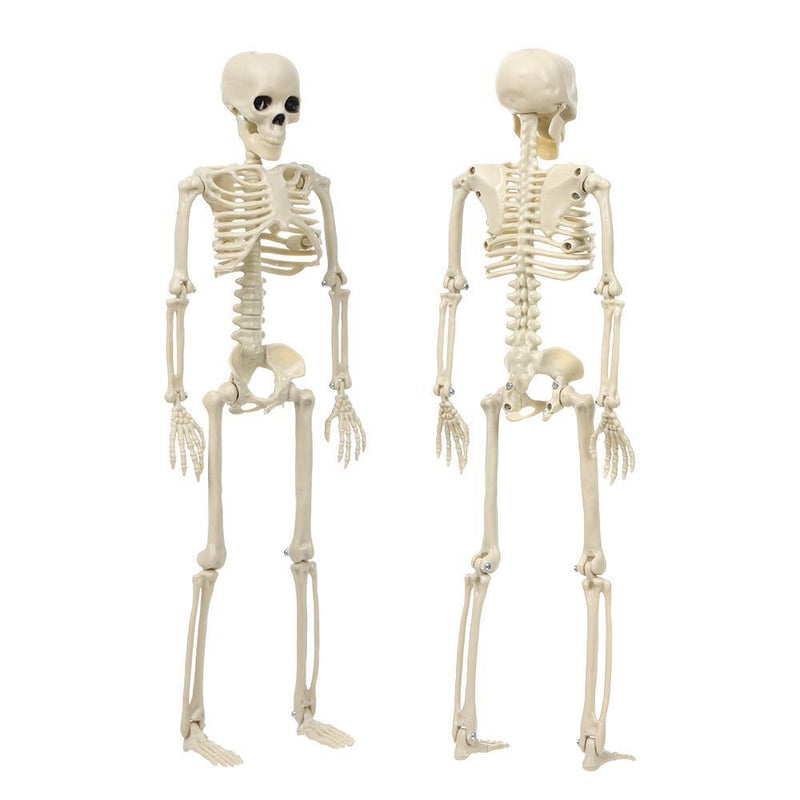Decoration Outdoor Hanging Poseable Size Human Skeleton Halloween Scary Props