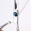 Professional Stainless Steel Hairdressing Scissor Barber Hair Cutting