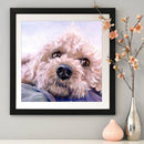 Diamond painting square diamond DIY animal puppy picture ZQF2505