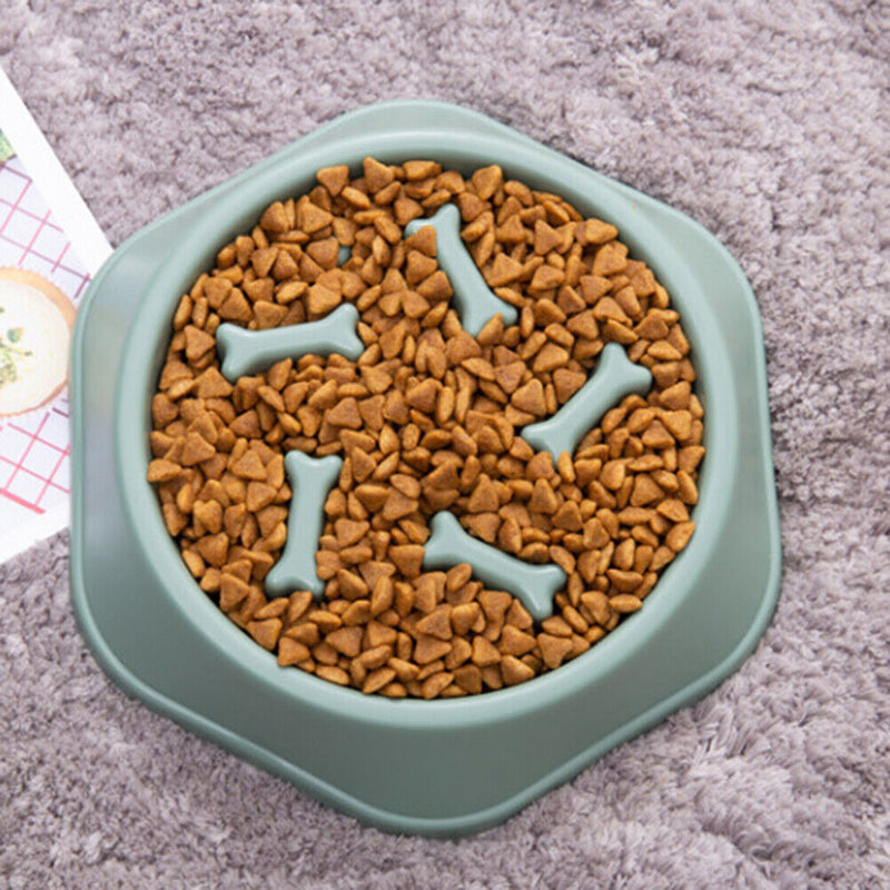 Pet Slow Eating Dish Cat Dog Anti Choking Puppy Feeder Food Bowl (Green) Newly