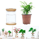 Ornament Plant Flower Pot Flower Arrangement Hydroponic Vase Plastic Vase