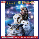 5D DIY Diamond Painting Owl Full Round Drill Wall Art Crafts Mosaic Rhinestone