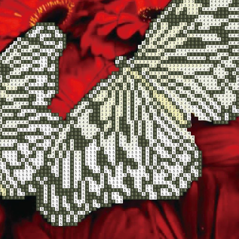 5D Butterfly Flower Diamond Painting Embroidery DIY Cross Stitch Home Decor