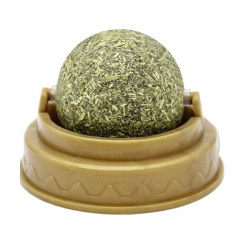 Healthy Cat Catnip Toys with Dust Cover Molar Teeth Kitten Cat Toys Pet Products