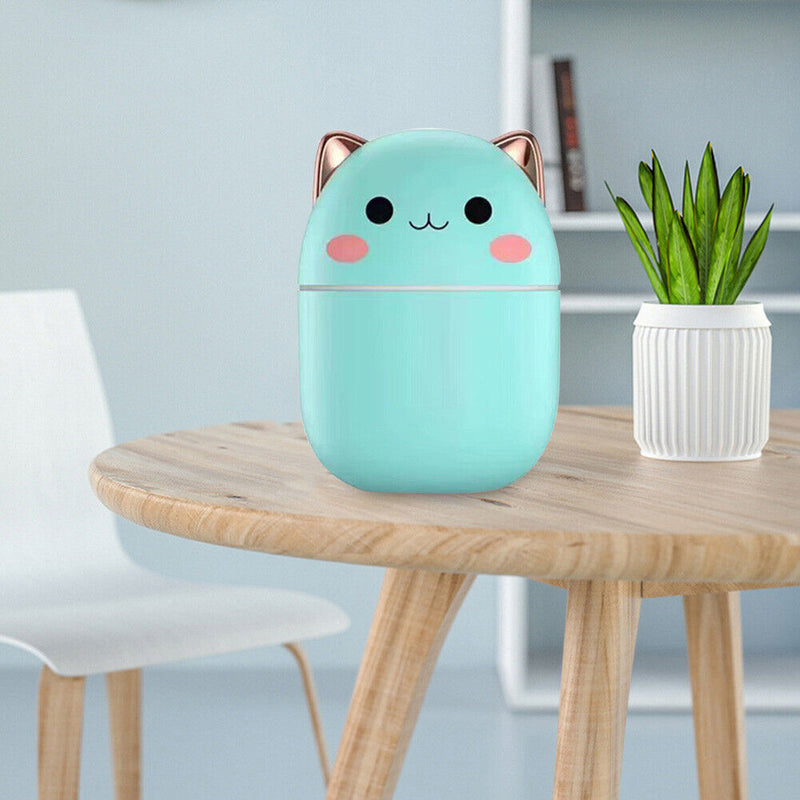 250ml Mini Cute Aroma Diffuser with LED Light USB Mute Purifier Cool Mist Maker