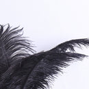 10pcs Fluffy Ostrich Feather Family Room DIY Jewelry Elegant Feather Decor Feather