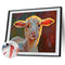 Oil Paint By Numbers Animal Set Coloring Picture Digital Drawing