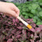 Digging Tool Basic Bonsai Tools Plant Transplant Tool Gardening Tools Kit