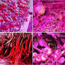 400 LEDs Grow Lights Full Spectrum 400W Indoor Plant Lamp For Plants AU-105