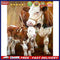 Cow Mother and Child Oil Paint By Numbers Kit Canvas Drawing DIY Coloring A