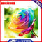 5D DIY Full Drill Round Shape Colorful Flower Rhinestone Diamond Drawing Kit