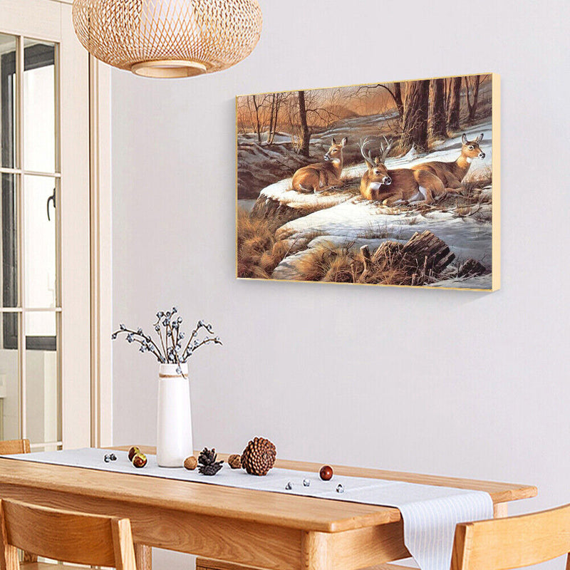 Frameless Oil Paint By Numbers Wall Art Posters Picture Craft Kit Home Gifts