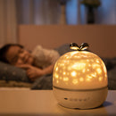 Starry Sky Night Light Planet Magic Projector Universe LED Decorated Light