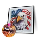 American Eagle Diamond Painting Kits Full Round Drill Home Wall Decor (B4955)