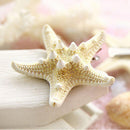 Fashion Lady Beach Girls Starfish Hair Clip Hairpin Jewelry Star Sea For 2 Pcs