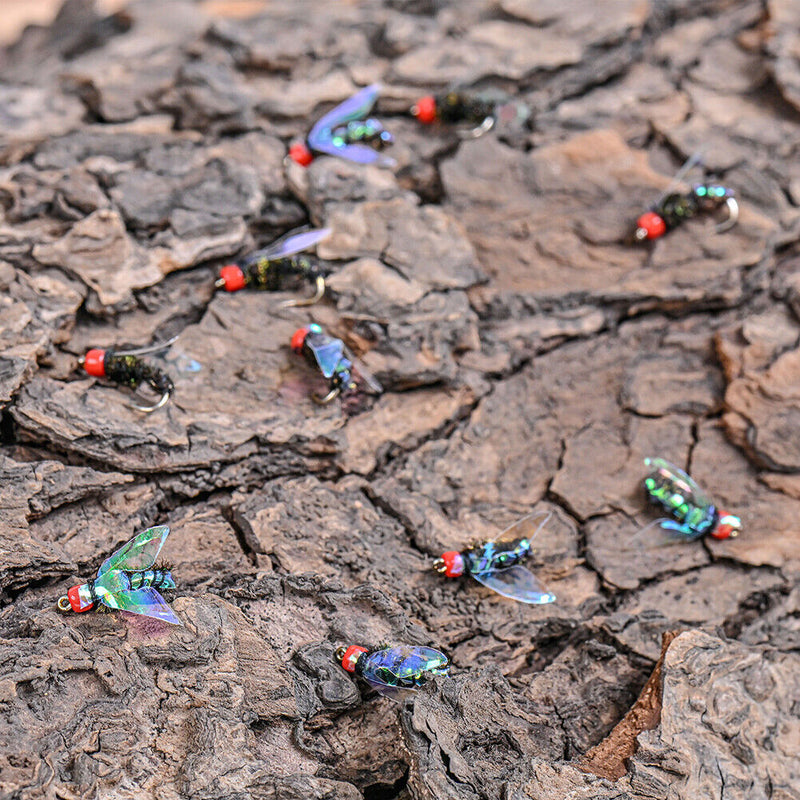 40pcs Bionic Insects Flies Fishing Lures Fly Hook Bait Fishing Accessories