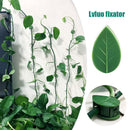 Household Green Self-Adhesive Fixator Garden Plant Climbing Wall Buckle Clip
