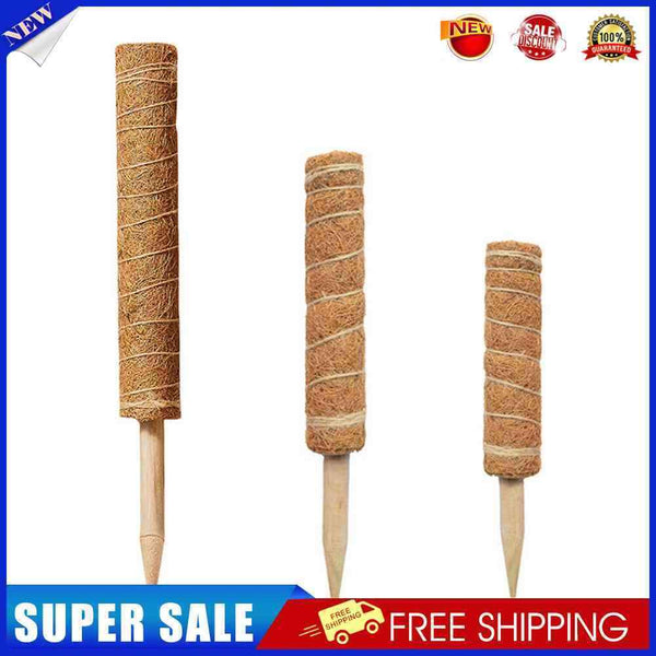 Coconut Palm Stick - Plant Supporting Poles Plant Climbing Vine (30cm)