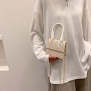 Mini Crossbody Bags Retro Print Straw Leather Handbags Chain Purse (Beige)