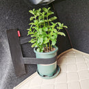Car Trunk Organizer Strap Elastic Fire Extinguisher Fixing Belt (Small) Newly