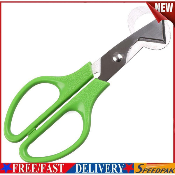 Creative Stainless Steel Pigeon Quail Egg Scissor Birds Eggshell Cut Opener #F
