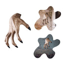 Halloween Wall Art Witch Arm Devil Claws Wall Hanging The Witchs Hand