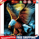 Flying Eagle Acrylic Oil Paint By Numbers Set Canvas Drawing DIY Coloring