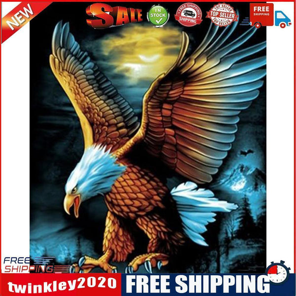 Flying Eagle Acrylic Oil Paint By Numbers Set Canvas Drawing DIY Coloring