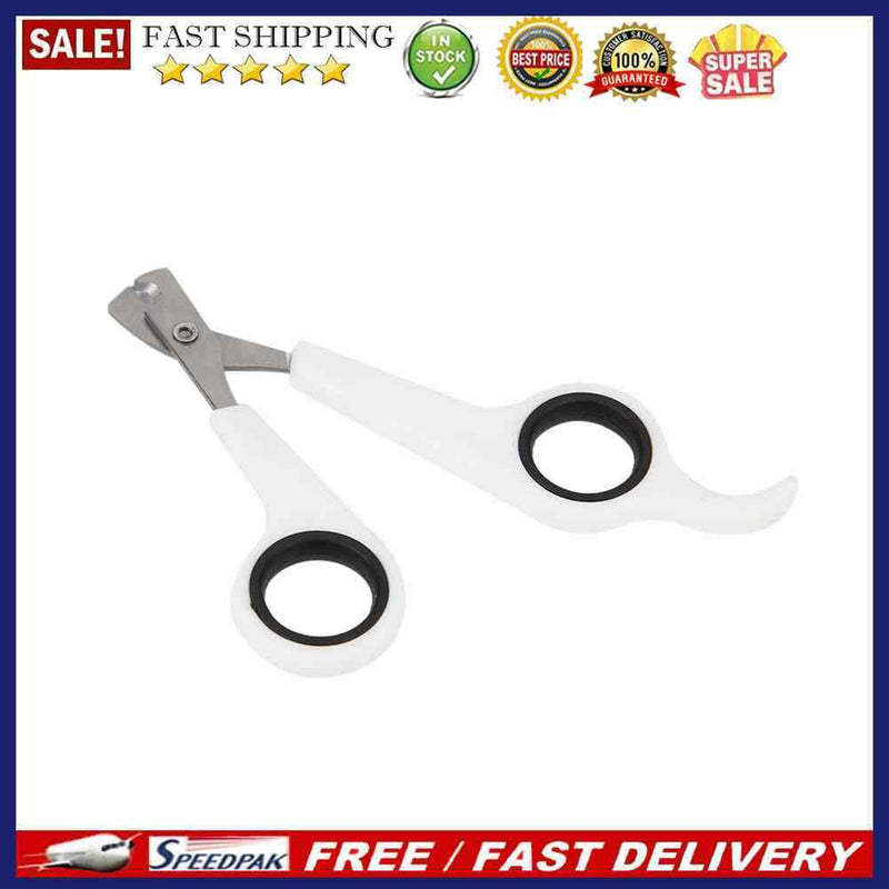 Dog Stainless Steel Nail Toe Scissors Pet Cat Puppy Claw Grooming Clipper Too