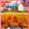 20x20cm Frameless Oil Paint By Numbers House with Flowers Paint Canvas Craft Kit