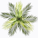 Artificial Fern Bouquet Palm Leaves 9Head Plastic Plants Garden Home Decoration