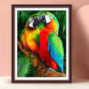 Oil Paint By Numbers Animal Parrot DIY Painting Kit Wall House Art Drawing