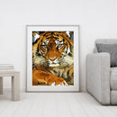 Tiger Animal Digital Painting Hand Painted Coloring By Numbers Decor (S20)