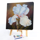 Flower Oil Paint By Numbers DIY Handpainted on Canvas Wall Art Picture Craft