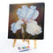 Flower Oil Paint By Numbers DIY Handpainted on Canvas Wall Art Picture Craft