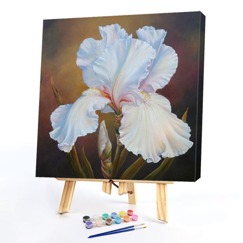 Flower Oil Paint By Numbers DIY Handpainted on Canvas Wall Art Picture Craft