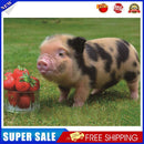 5D DIY Cute Pig Diamond Painting Embroidery Rhinestones Mosaic Cross Stitch