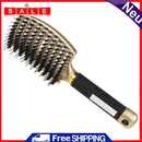 Hair Brush Shower Massage Scalp Comb Hairdressing Beauty Tool Hairstyle Comb