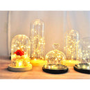 Bottle Terrarium Glass cloche Wooden base Dust Cover Flower Storage box