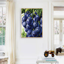 5D Diamond Painting DIY Grape Full Round Drill Mosaic Decoration (E1241)