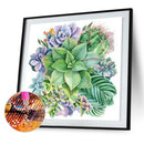 5D DIY Diamond Painting Kits Full Square Drill Succulents Mosaic Wall Picture