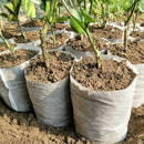 200x Biodegradable Non-woven Nursery Bags Plants Grow Seedling Planting Pots